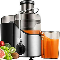 Infinity Merch Centrifugal Juicer Machines, Juice Extractor
