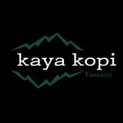 Premium Kaya Kopi Tarrazu Costa Rican Geisha Arabica Specialty Roasted Ground Coffee Beans, 12 Ounce