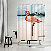 Americanflat 71" x 74" Shower Curtain, Pink Flamingo On Aruba Island by Henrike Schenk