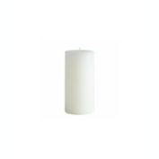 Pier 1 Magnolia Blooms 3X6 Mottled Pillar Candle