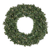 Northlight Pre-Lit Battery Operated Canadian Pine Artificial Christmas Wreath - 24-Inch, Clear Lights