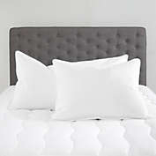 Standard Textile Home - Chamber Down Pillow (Chamberloft) Set of 2, King