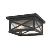 Z-Lite 2 Light Outdoor Flush Ceiling Mount Fixture - Clear Seedy
