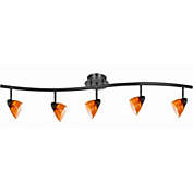 Saltoro Sherpi 5 Light 120V Metal Track Light Fixture with Glass Shade, Black and Orange-
