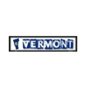 Smart Blonde Vermont State Outline Novelty Metal Vanity Mini Street Sign