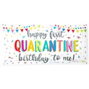 Blue Panda Quarantine Birthday Banner for Kids and Adults, Party Decoration (4 x 2 Ft)