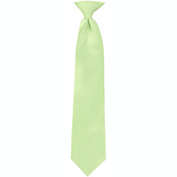 Umo Lorenzo boxed-gifts Boy&#39;s 8 Inch Clip on Tie Solid Neck Tie, Lime
