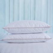 Puredown Set of 2 Goose Down Feather Bed Pillow Standard Size