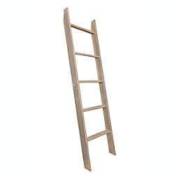 BrandtWorks Home Indoor Decorative 204L-WORN Modern Rustic Style Worn Gray Ladder - 20