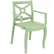 Sunnydaze Tristana Plastic Outdoor Patio Arm Chair - Green