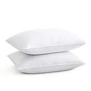 Unikome 2 Pack High Loft Down Feather Bed Pillows in White with 100% Cotton Shell, King