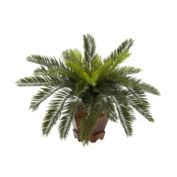 Nearly Natural Cycas with Hexagon Vase Silk Plant, Green