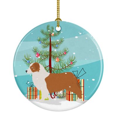 Northern Lights Bouvier Fawn Pet Gift Personalized Christmas Ornaments
