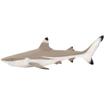 Papo 56034 Blacktip Reef Shark for sale online 
