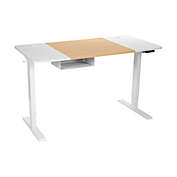 Slickblue 55 x 28 Inch Electric Adjustable Sit to Stand Desk with USB Port