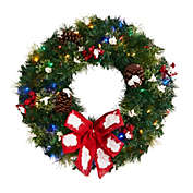 HomPlanti 24" Snow Tipped Berry and Pinecone Artificial Wreath with Bow and 50 Multi-Colored LED Lights