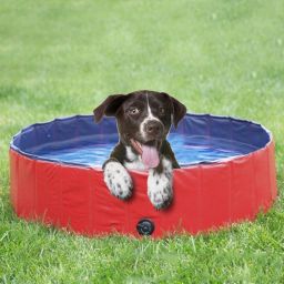 Sim Luxury Dog Pool, 160*30/120*30 Foldable Large and Small Dog Pool, Dog Bath, 100% Safe & Non Toxic Kid's Rigid Pool (120*30)