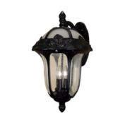 Special Lite Products Rose Garden Large Top Mount Light with Seedy Glass - Black