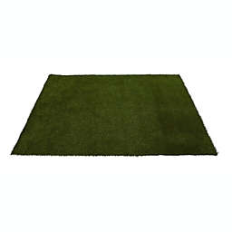 Nearly Natural 6' x 8' Artificial Professional Grass Turf Carpet UV Resistant (Indoor/Outdoor)