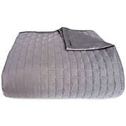Bedvoyage Rayon Made From Bamboo Quilted Coverlet, Platinum - Queen