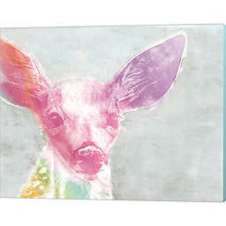 Great Art Now Portrait of a Fawn rainbow by Marie-Elaine Cusson 20-Inch x 16-Inch Canvas Wall Art
