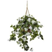 HomPlanti Bougainvillea Hanging Basket