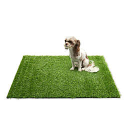 Zodaca Artificial Turf for Dogs Potty, Pet Grass Mat?with Drain Holes?(28 x 40 Inches)