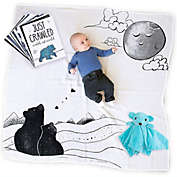 JumpOff Jo - 3-Piece Set, Swaddle Blanket, Security Bear, Monthly Photo Cards