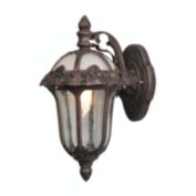 Special Lite Products Rose Garden F-2711-CP-SG Medium Top Mount Light with Seedy Glass- Copper