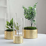 Infinity Merch 3 Pieces Clear Gold Honeycomb Trim Glass Cylinder Vases Set
