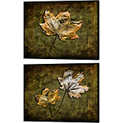 Great Art Now Metallic Leaf by LightBoxJournal 15-Inch x 12-Inch Canvas Wall Art (Set of 2)