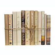 Booth & Williams Flaxen Mixed Media Decorative Books, One Foot Bundle of Real, Shelf-Ready Books