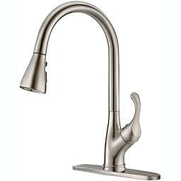 Appaso Direct APPASO Pull Down Kitchen Faucet with Sprayer Stainless Steel