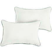 Outdoor Living and Style Set of 2 Sunbrella Canvas Natural/Canvas Spa Outdoor Pillow, 20"