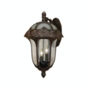 Special Lite Products Rose Garden F-3711-CP-SG Large Top Mount Light with Seedy Glass - Copper