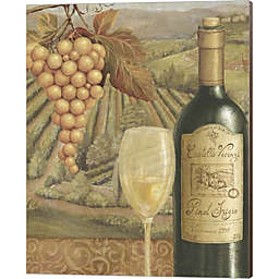 Metaverse Art French Vineyard VI by Daphne Brissonnet 16-Inch x 20-Inch Canvas Wall Art