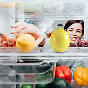 Grand Fusion Fruit Fresh&reg; Refrigerator Air Freshener and Produce Life Extender 2 Pack Set