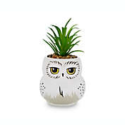 Harry Potter Hedwig 3-Inch Ceramic Mini Planter with Artificial Succulent   Small Flower Pot, Faux Indoor Plants For Desk Shelf, Home Decor Trinket Tray   Wizarding World Gifts and Collectibles