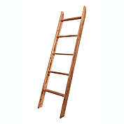 BrandtWorks Home Indoor Decorative 209L-WORN Modern Rustic Style Worn Carrington Ladder - 20" x 72"