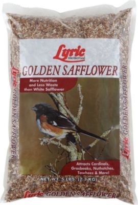 Lyric Bird Products 26-47275 Lyric Safflower Seed for Wild Birds