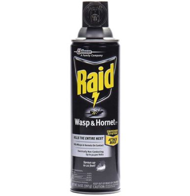 Raid Wasp & Hornet Killer 33 Spray Bottle, 14oz