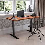 Emma + Oliver Electric Height Adjustable Standing Desk - 48" Wide x 24" Deep (Mahogany)
