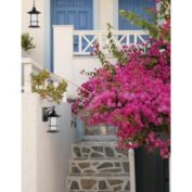 Z-Lite Outdoor LED Wall Light - Clear Seedy