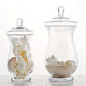 BalsaCircle 2 Pieces Clear Glass Apothecary Jars with Lids