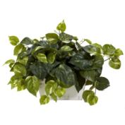 Nearly Natural 20" Artificial Pothos Silk Plant with White Wash Planter