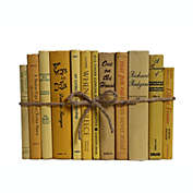 Booth & Williams Saffron Vintage Decorative Books, One Foot Bundle of Real, Shelf-Ready Books