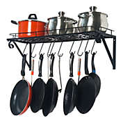 Inq Boutique Wall Hanging Pot Rack Mounted Storage Shelf with S Hooks for Pans