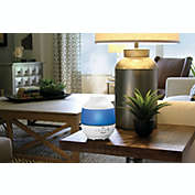 HoMedics Cool Mist Ultrasonic Humidifier with Essential Oil Tray