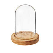 Farmlyn Creek Glass Display Dome Cloche with Wooden Base for Home Decoration (3.5 x 4.7 In)