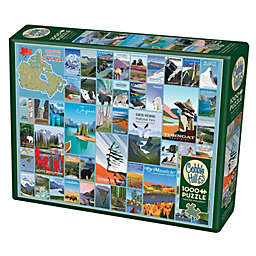Cobble Hill  - 1000 pc Puzzle (National Parks And Reserves Of Canada)